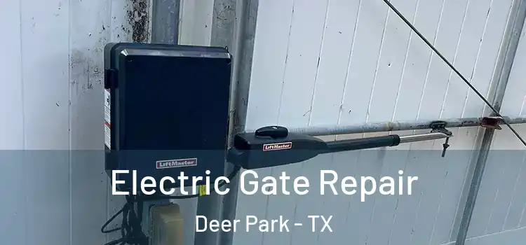 Electric Gate Repair Deer Park - TX
