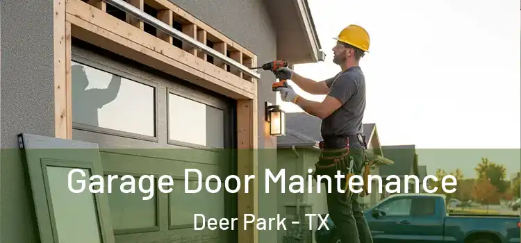 Garage Door Maintenance Deer Park - TX