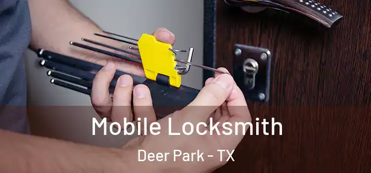 Mobile Locksmith Deer Park - TX