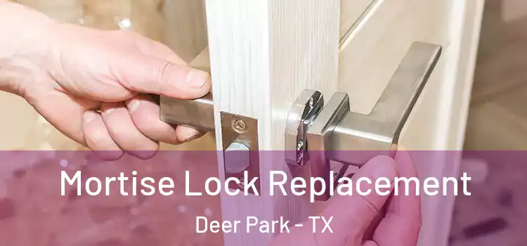 Mortise Lock Replacement Deer Park - TX
