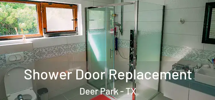 Shower Door Replacement Deer Park - TX
